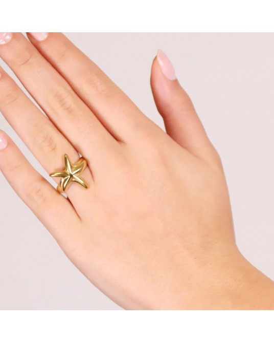 ANILLO ESTRELLA ACERO DE ANARTXY