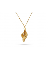 Collar corto caracola acero de Anartxy