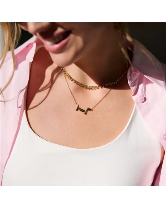 Collar Teckel acero de Anartxy