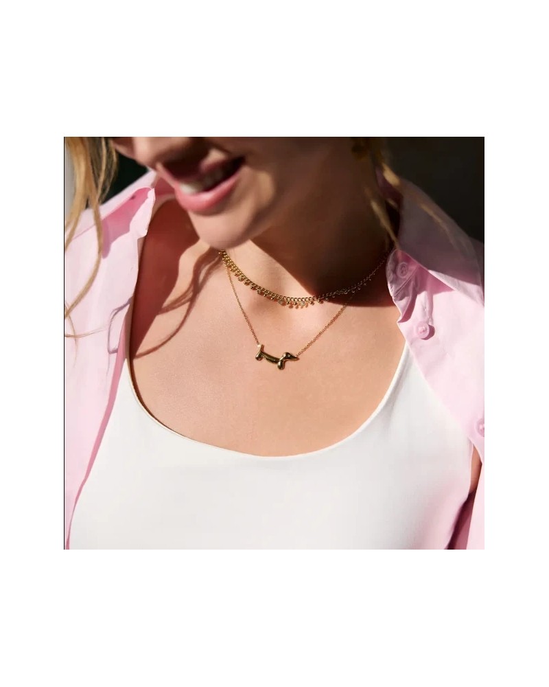 Collar Teckel acero de Anartxy
