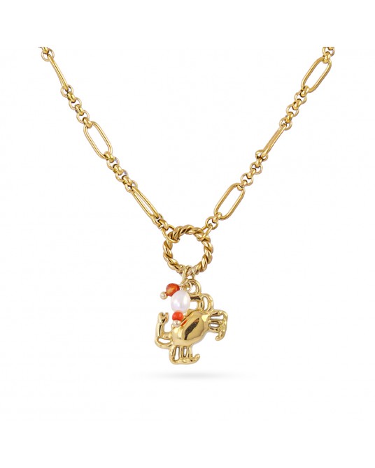 Collar cangrejo acero Anartxty