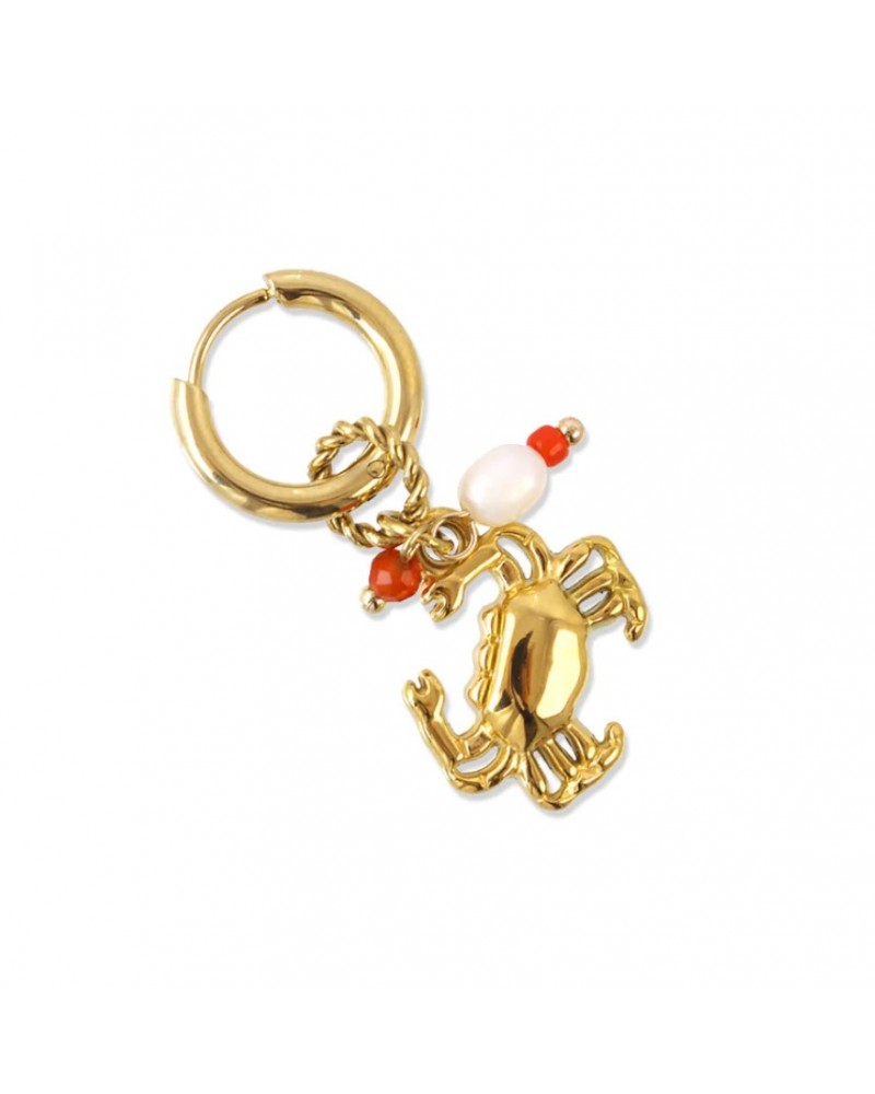 Pendientes cangrejo acero Anartxy