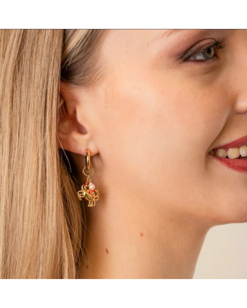 Pendientes cangrejo acero Anartxy