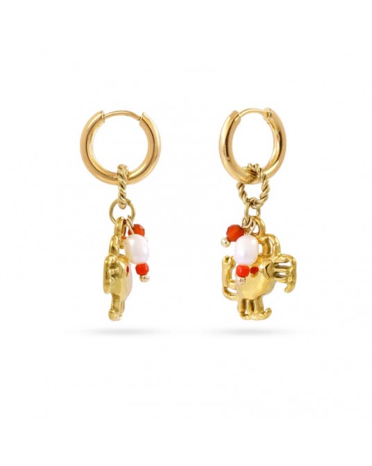 Pendientes cangrejo acero Anartxy