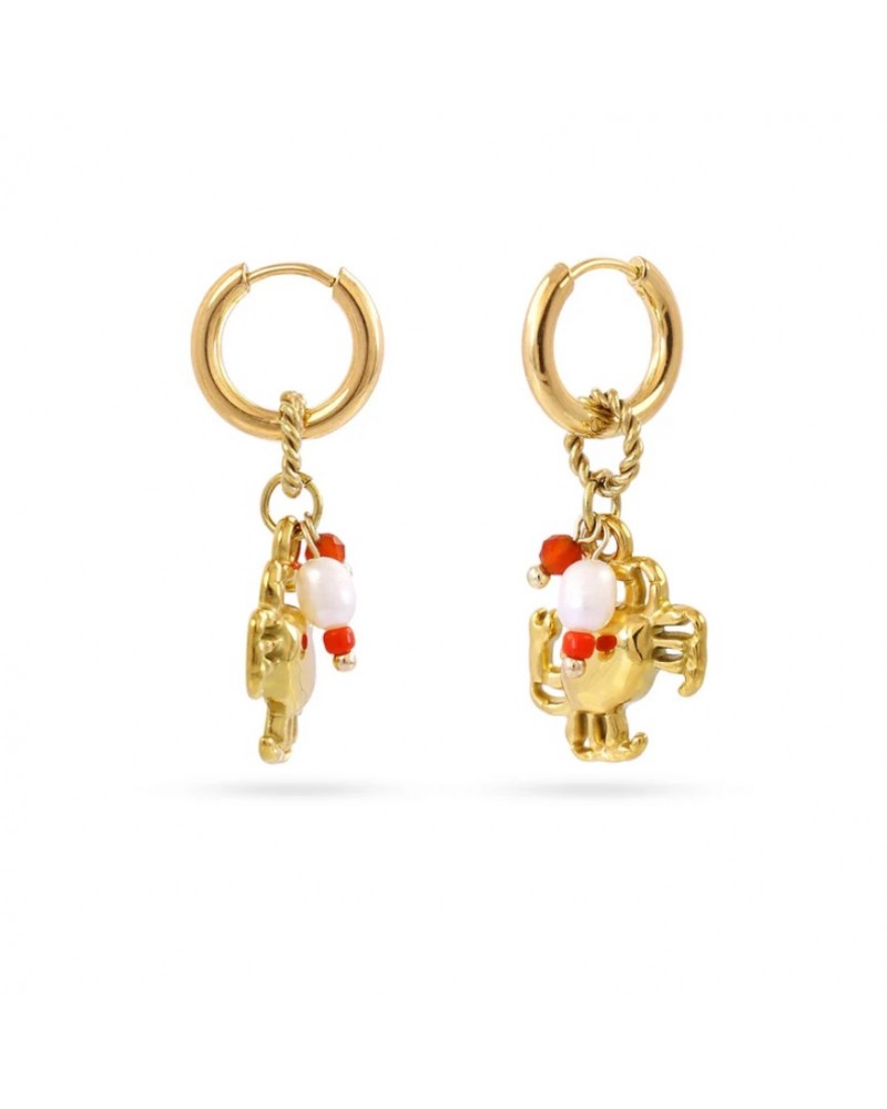 Pendientes cangrejo acero Anartxy
