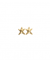 Pendientes estrella baño en oro de UNOde50